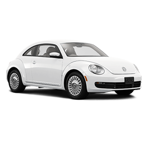 Beetle